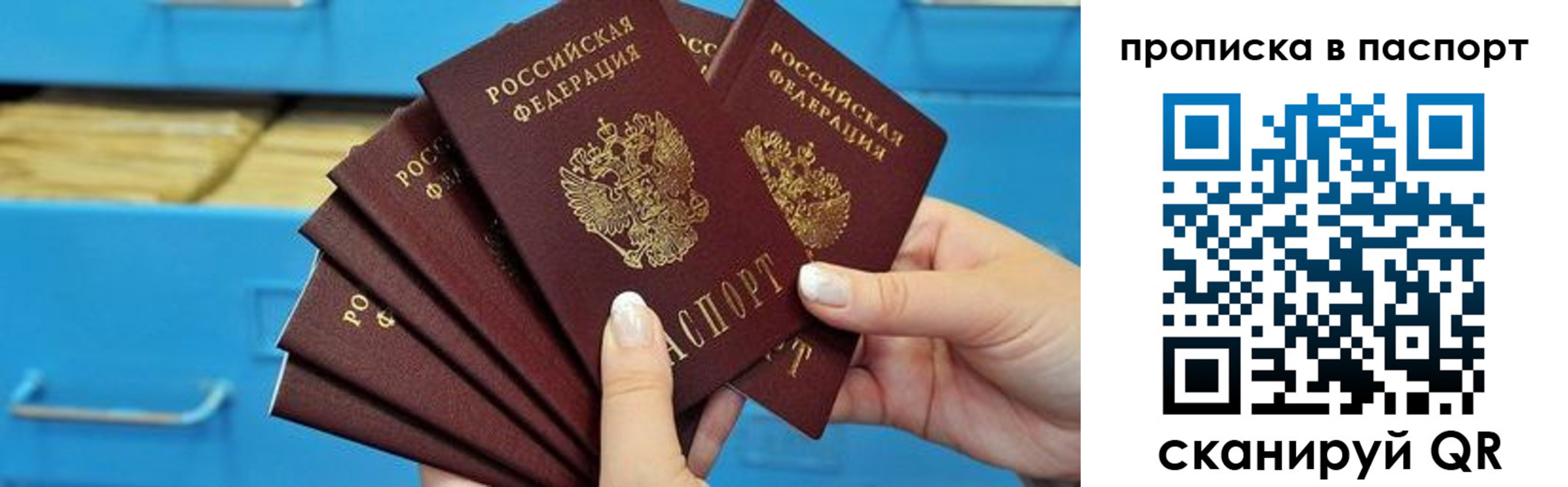 прописка в Кувшиново